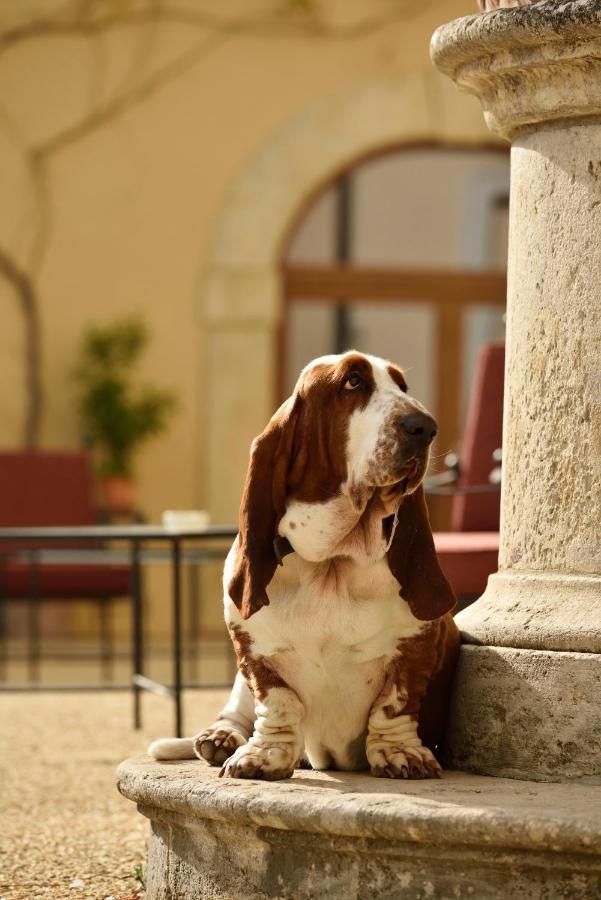 Villa Sabolini كولّي فال ديلسا المظهر الخارجي الصورة